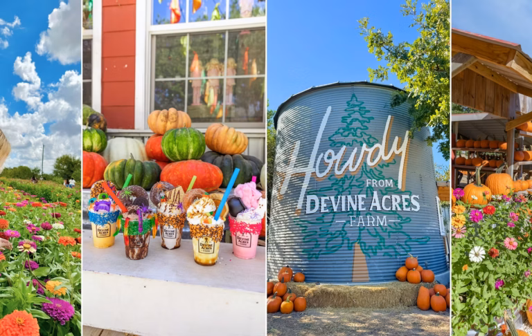 Devine Acres CountryFest