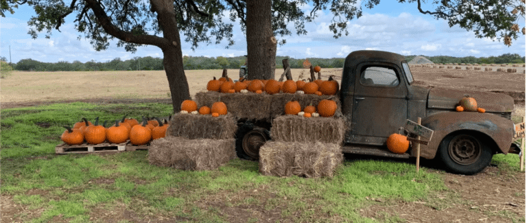 Bulverde Pumpkin Patch